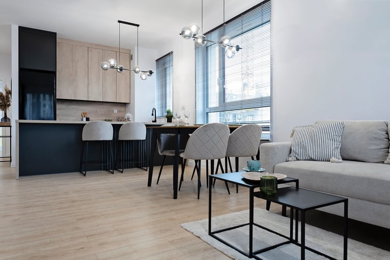 New apartment and home interior of living room with kitchen